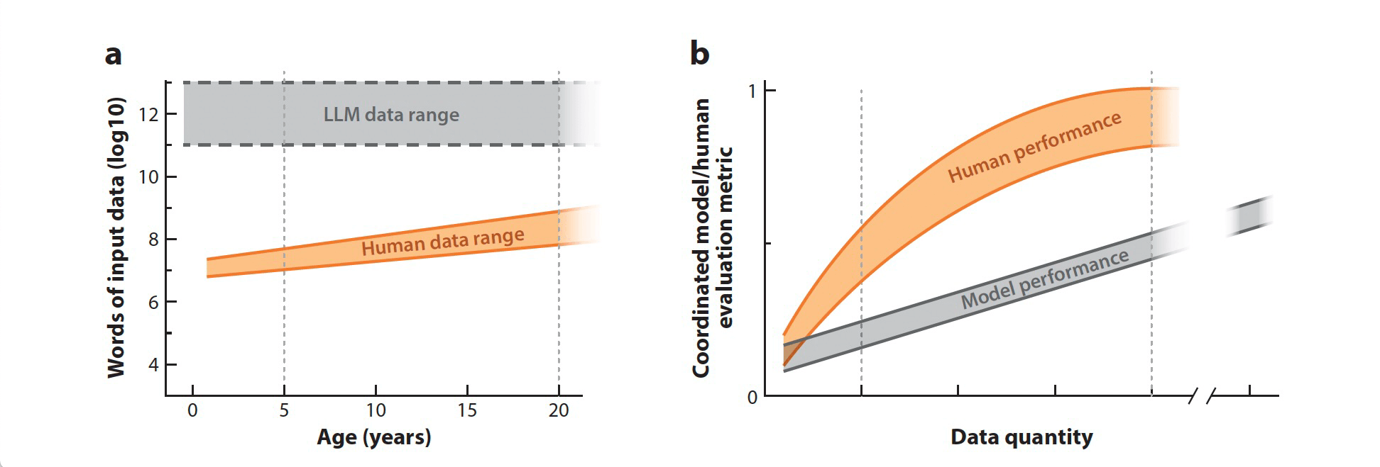 Graphic showing divergence between AI capability and humanness